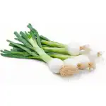 Natural Green Onions